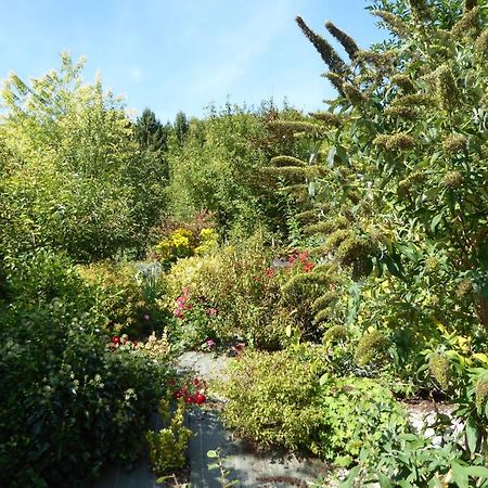 Dans Un Jardin Villa Apremont-la-Foret Exteriör bild
